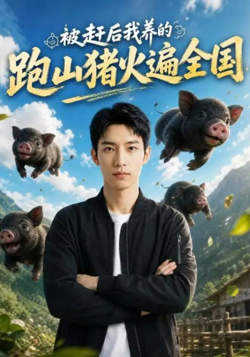 被赶后我养的跑山猪火遍全国