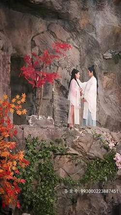 长生帝婿高清播放
