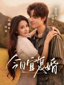 今日宜复婚高清播放