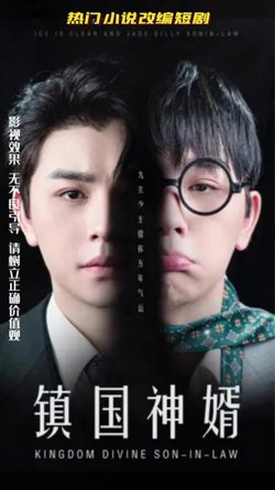 镇国神婿高清播放