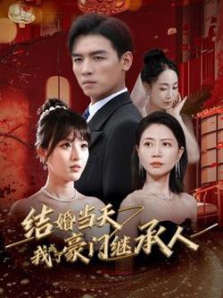 结婚当天我成了豪门继承人在线观看
