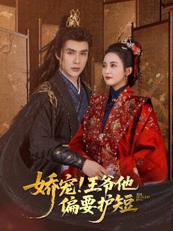 娇宠!王爷他偏要护短高清播放