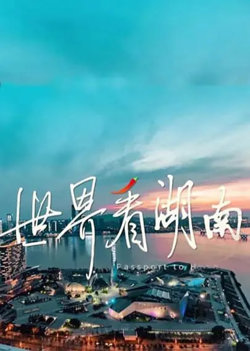 世界看湖南高清播放