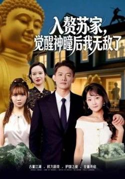 赘苏家，觉醒神瞳后我无敌了在线观看