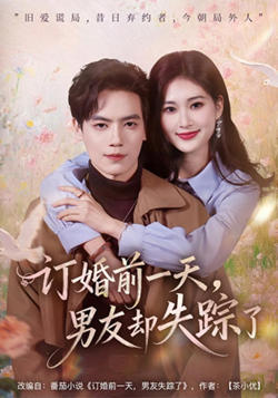 订婚前一天，男友却失踪了高清播放