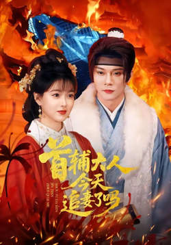 首辅大人，今天追妻了吗？在线观看
