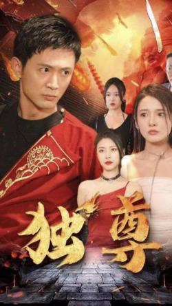 独尊高清播放