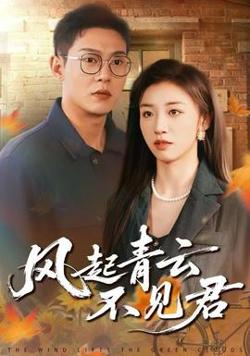 风起青云不见君在线观看