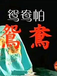 鸳鸯帕在线观看