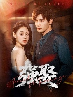 强娶高清播放