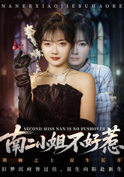 南二小姐不好惹高清播放