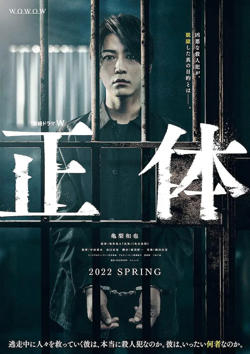 真实身份 正体在线观看