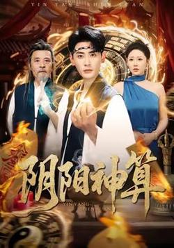 阴阳神算高清播放