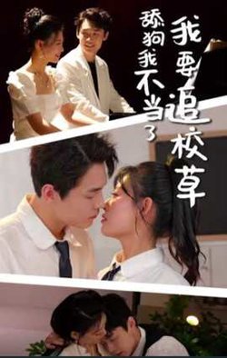 舔狗我不当了我要追校草高清播放