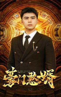 豪门憨婿在线观看