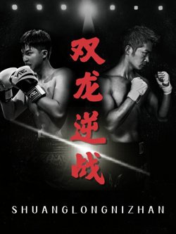 双龙逆战（拳王之父子双龙）
