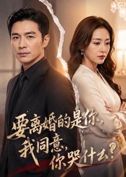 要离婚的是你,我同意,你哭什么?在线观看