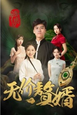 鉴宝传说之无价赘婿高清播放