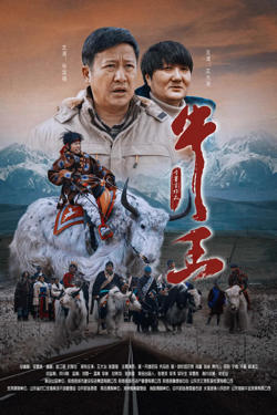 牛王高清播放