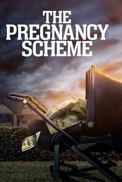 The Pregnancy Scheme高清播放