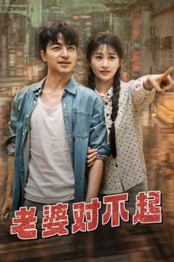 老婆对不起高清播放