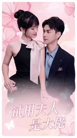 试用夫人是大佬在线观看
