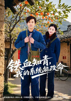 铁血知青，我的系统能改命在线观看