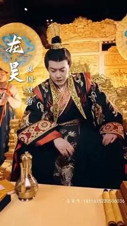 朕高清播放