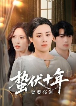 蛰伏十年婆婆亮剑在线观看