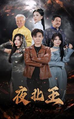 夜北王在线观看