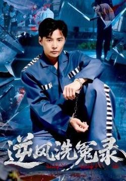 逆风洗冤录在线观看