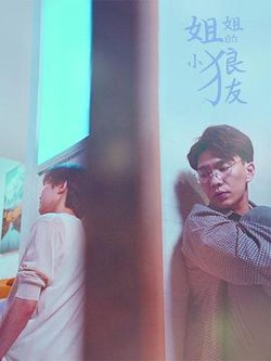 姐姐的小狼友高清播放