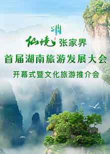 首届湖南旅游发展大会开幕式暨文化旅游推介会在线观看