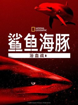 鲨鱼海豚浴血战高清播放