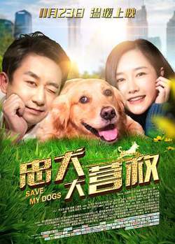 忠犬大营救在线观看
