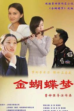 金蝴蝶梦在线观看