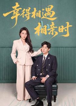 幸得相遇相亲时高清播放