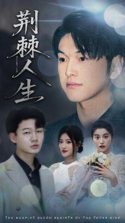 荆棘人生高清播放