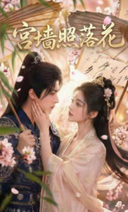 宫墙照落花在线观看