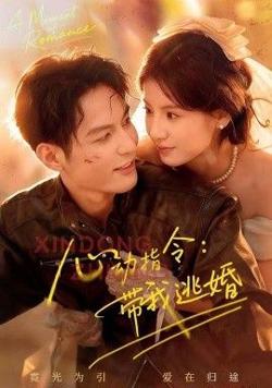 心动指令：带我逃婚，玫瑰窃贼在线观看
