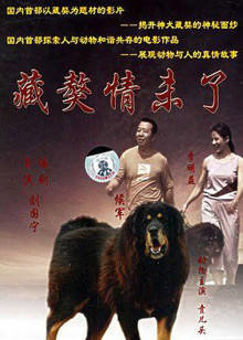 藏獒情未了高清播放