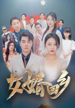 女婿回乡在线观看