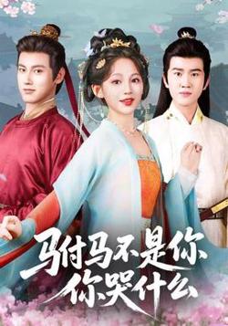 驸马不是你,你哭什么