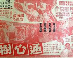 通心树高清播放