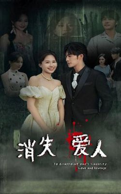 消失爱人短剧高清播放