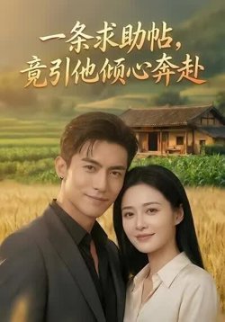 一条求助帖，竟引他倾心奔赴高清播放
