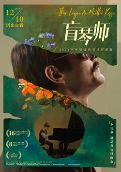 盲琴师高清播放