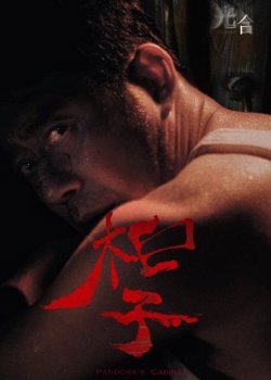 光合计划在线观看