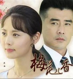梅花儿香高清播放