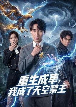 重生成隼，我成了天空禁主高清播放